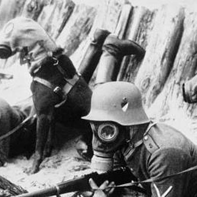 Timeline: WW1 Timeline