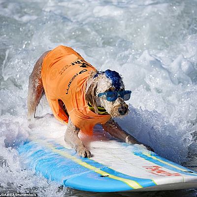 Timeline: Mi linea del tiempo