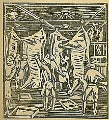 Adolf Bellocq (Argentino)