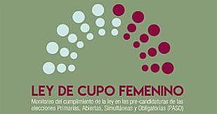 La Ley de Cupos - 1991: