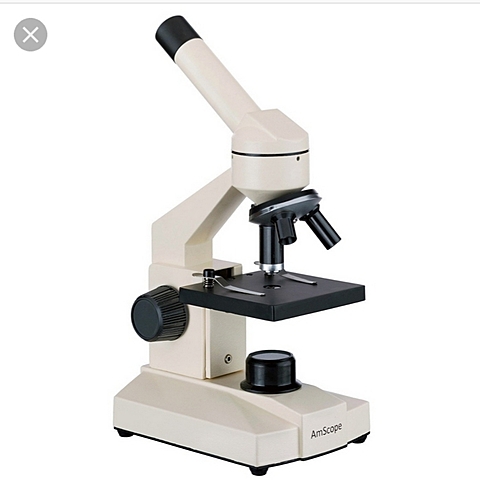 microscopio compuesto