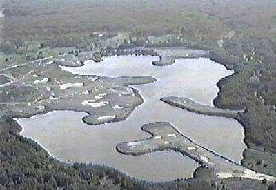 Fin de la producción