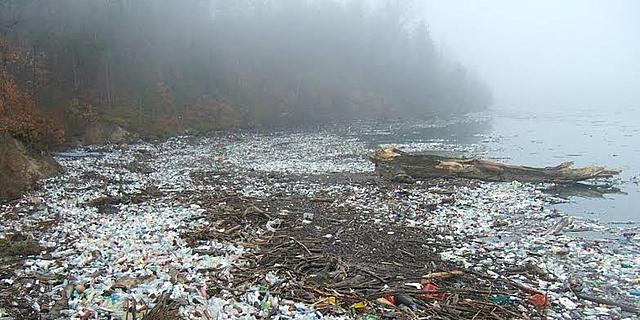 Contaminación en el lago