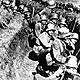Image 4 for unseen ww1 pictures in the trenches gallery 244834765