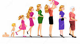 Timeline: Erikson Timeline