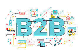 Primer Sistema B2B
