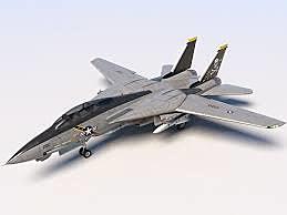 F-14 TOMCAT -The purpose of F-14 TOMCAT to serve as a escort attack aircraft and fleet air defense interceptor role