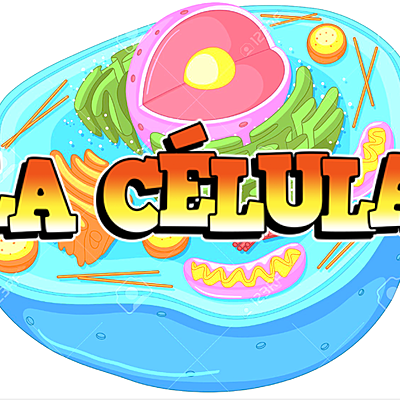 Timeline: Línea de tiempo sobre la célula y sus principales acontecimientos