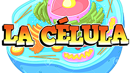 Timeline: Línea de tiempo sobre la célula y sus principales acontecimientos