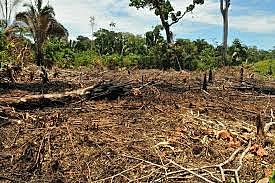 ¿Que significa impacto ambiental?