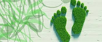 ¿Que se llama huella ecológica?
