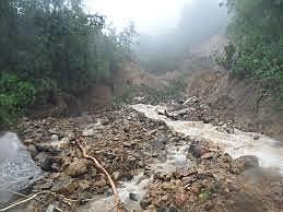 ¿Que cres que paso?