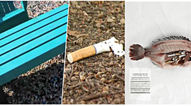 Timeline: Converting cigarettes butts into park benches and shipping palettes