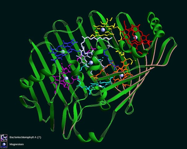 3.7 Billion Years Ago: Photosynthesis Bacteria