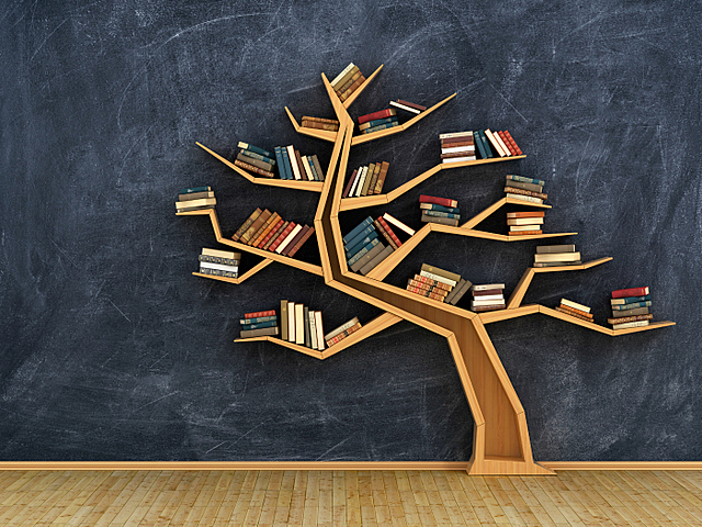 Té estudis d'arquitectura antiga i de l'època