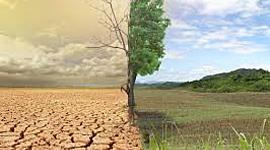 Timeline: El impacto ambiental en el medio fisico