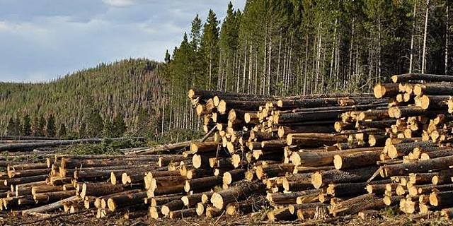 ¿Que significa impacto ambiental?