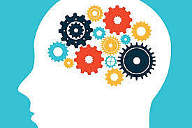 First "real world" job