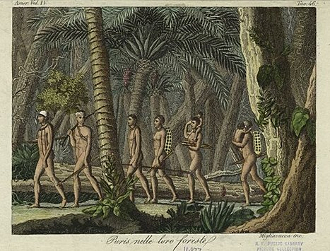 Política Indigenista - CF 1823 (Q5 - 2019)