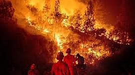 Timeline: el impacto ambiental en el medio fisico