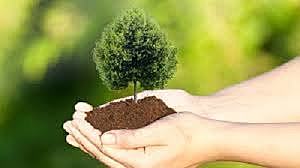 Impacto ambiental positivo