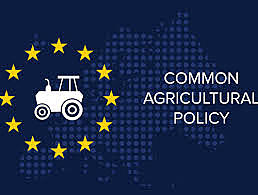 Common Agricultural Policy