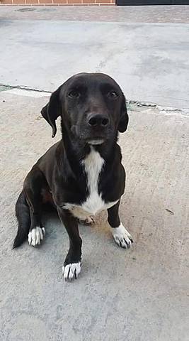 the best day of my life