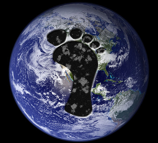 Huella ecológica y Sustentabilidad.