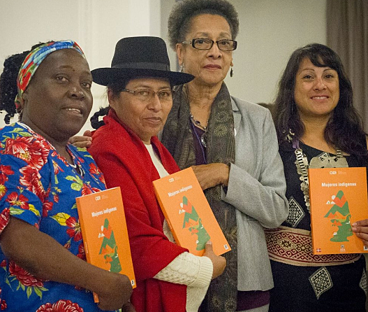 Se crea la Comisión de Derechos Humanos de los Pueblos Indígenas