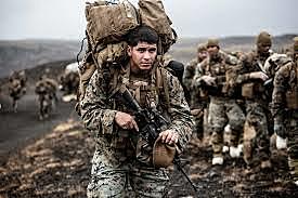 be a great professional