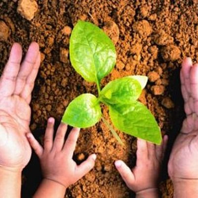 Timeline: "La evolución e importancia que ha tomado la educación ambiental"