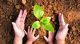 Timeline: "La evolución e importancia que ha tomado la educación ambiental"