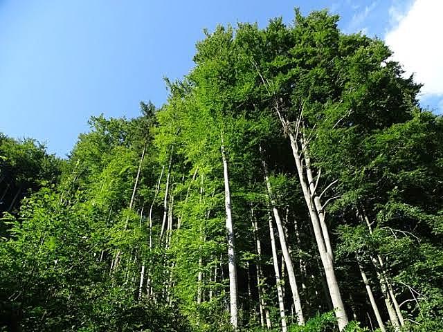 ¿Que acciones se debieron tomando para evitarlo?