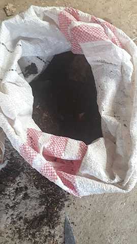 Preparación de la tierra