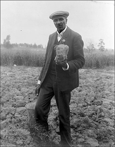 Thousands of Uses for the Peanut