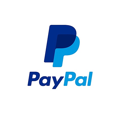 Nace Paypal