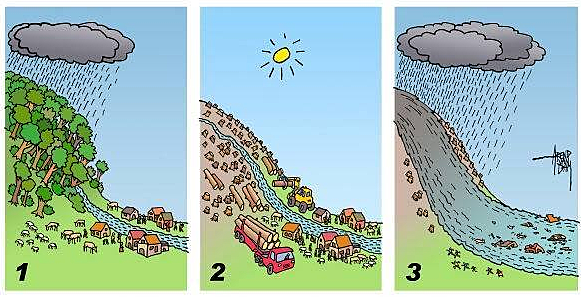 El Impacto ambiental en el medio físico