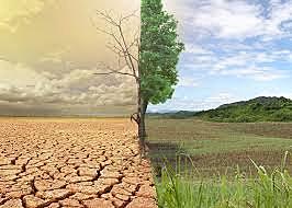 El Impacto ambiental en el medio físico