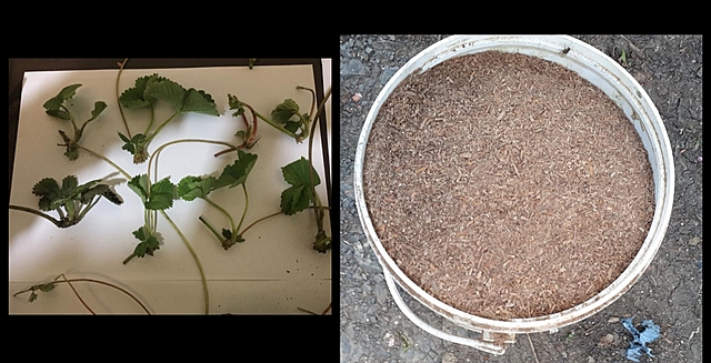 Busqueda de informacion sobre la fresa