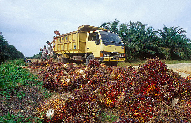 EXPANSIÓN DE LA AGRICULTURA INTENSIVA