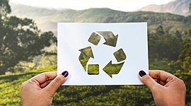 Timeline: Evolución e importancia de la Educación del Medio Ambiente