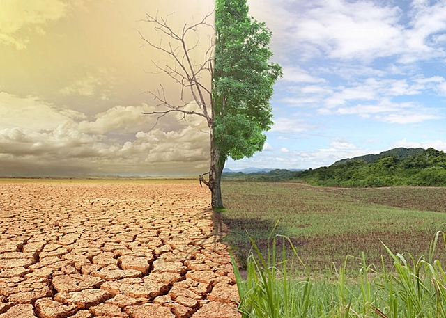 El impacto ambiental en el medio fisico