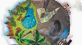 Timeline: Cuestionario de problemáticas ambientales