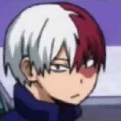 Timeline: Todoroki's Timeline