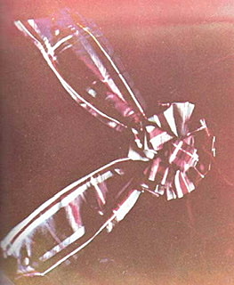 LA PRIMERA IMAGEN A COLOR