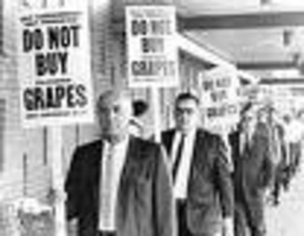 UFW's Boycott of Grapes