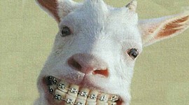 Timeline: Álvaro, Isma 6èC