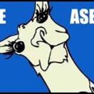 Timeline: AlejandroMario6èA