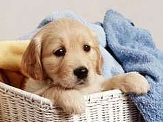 MINI PROJECT (DESCRIPTION)