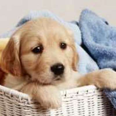 Timeline: Àngel i Esteve 6èC